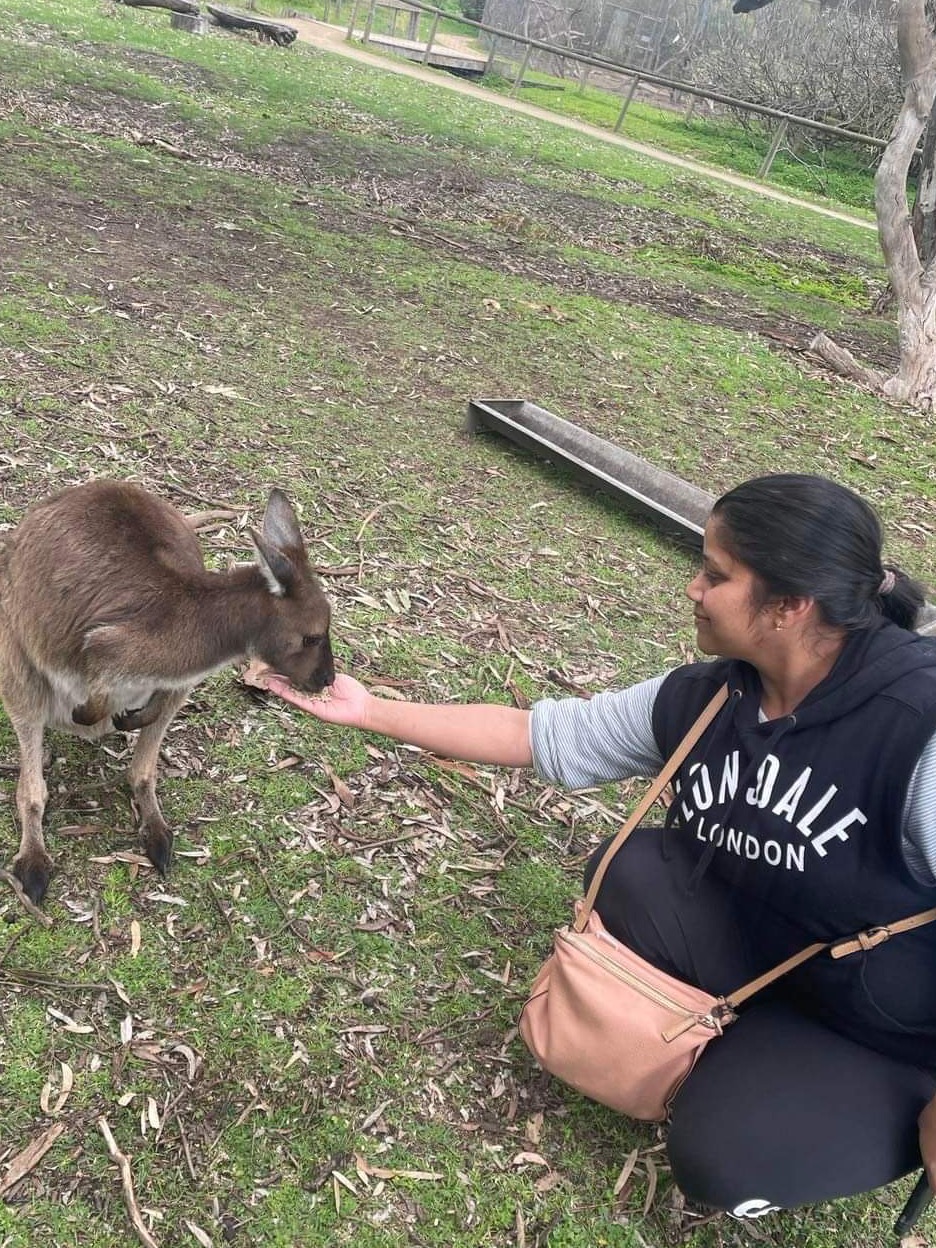 Anne F profile picture