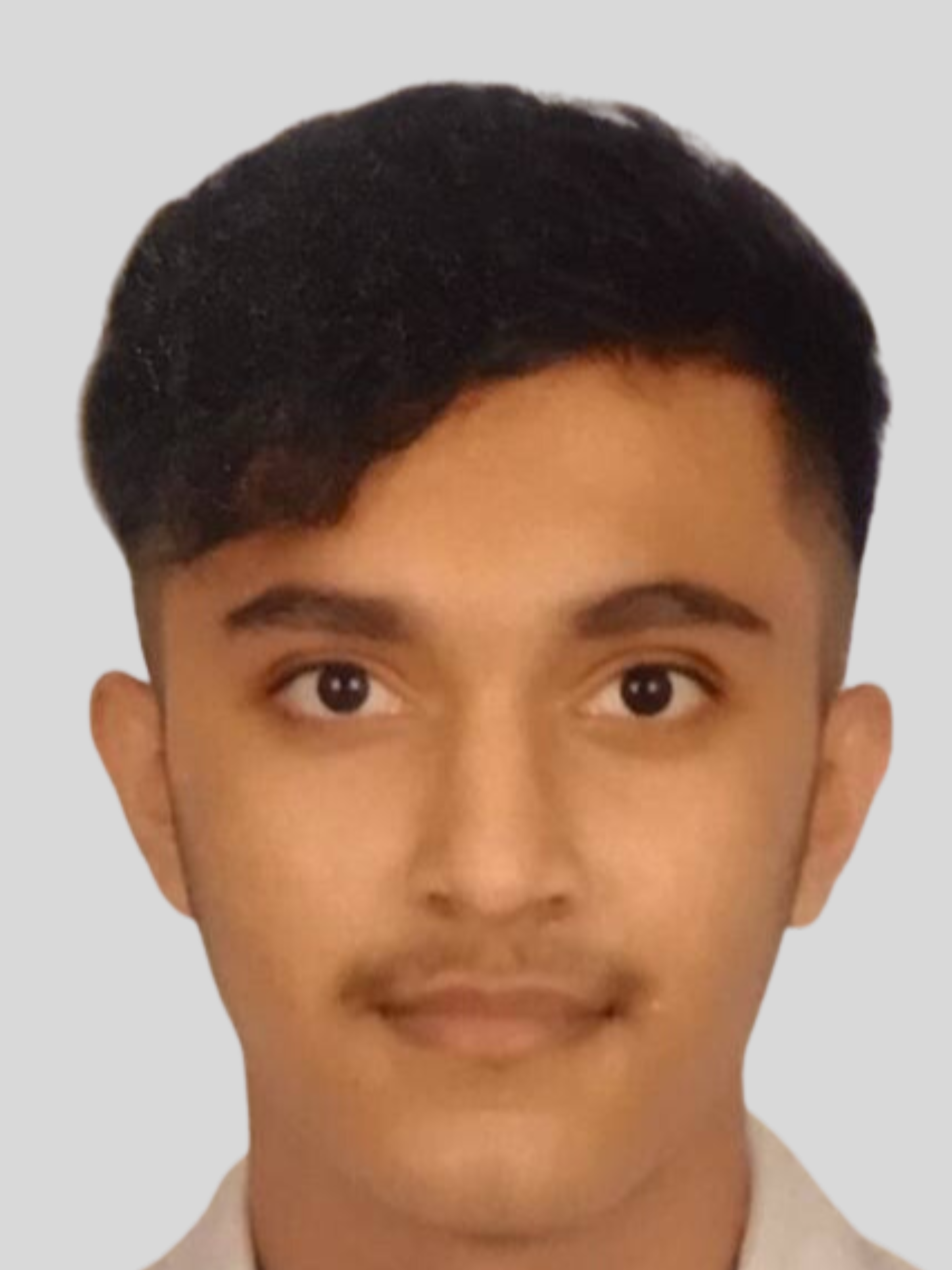 Bisesh L profile picture