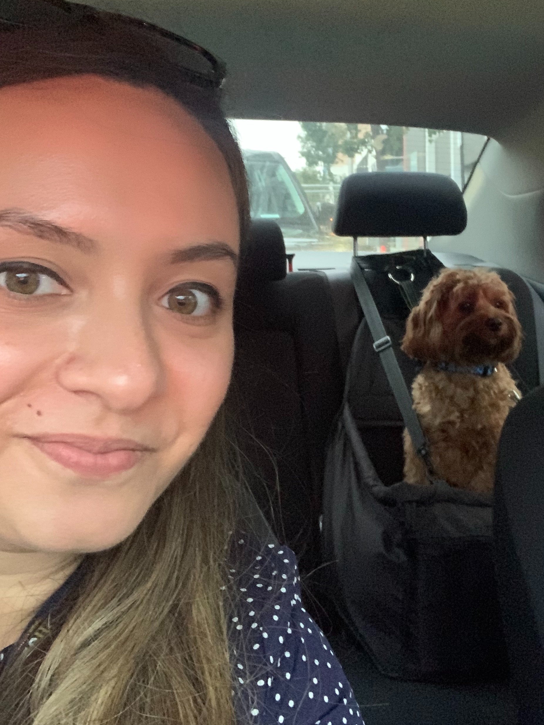 Diane R profile picture