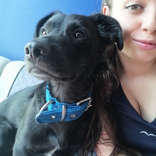 Laura P profile picture