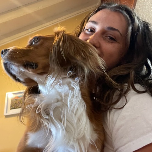 Liria S profile picture