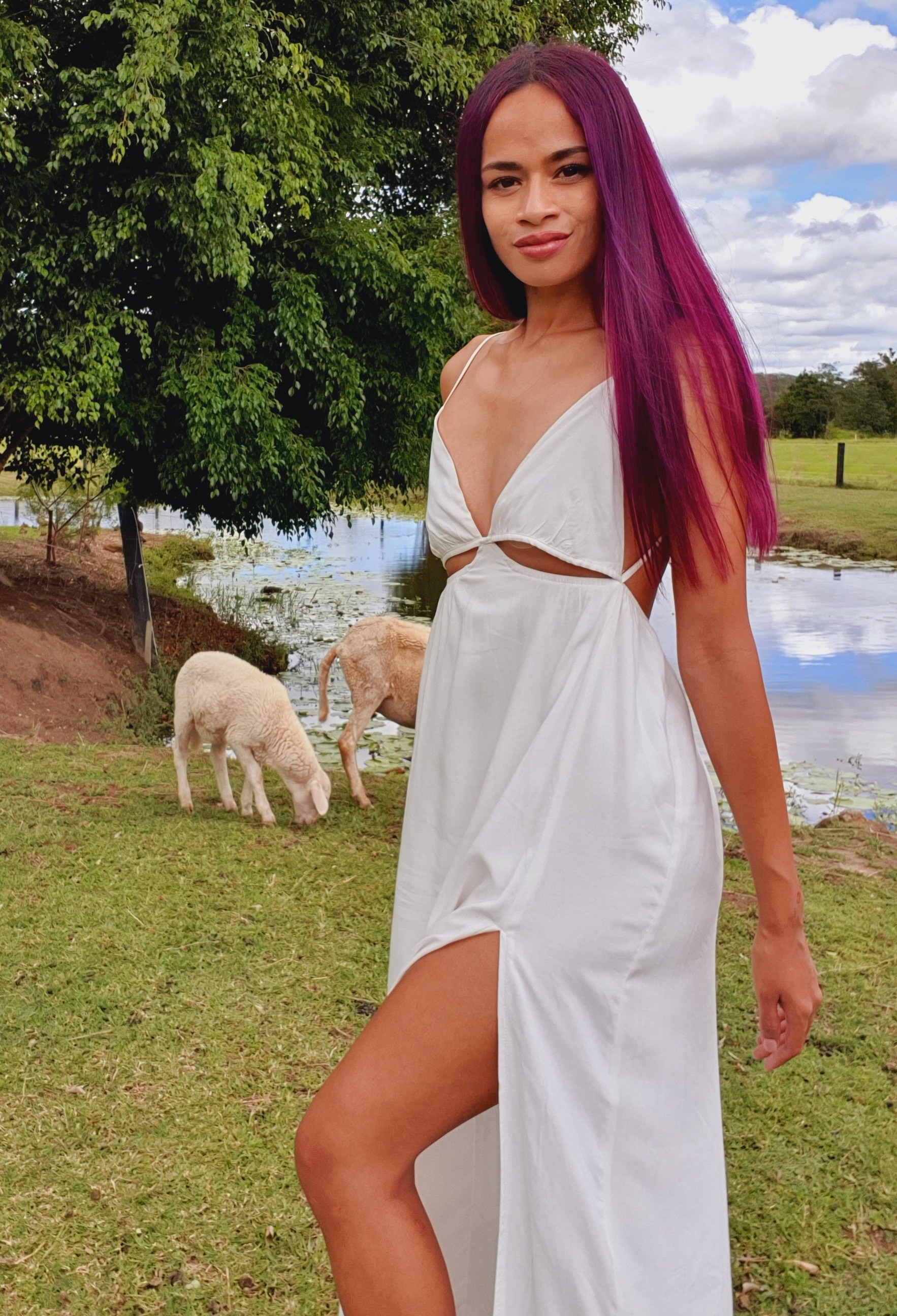 Lisa Y profile picture