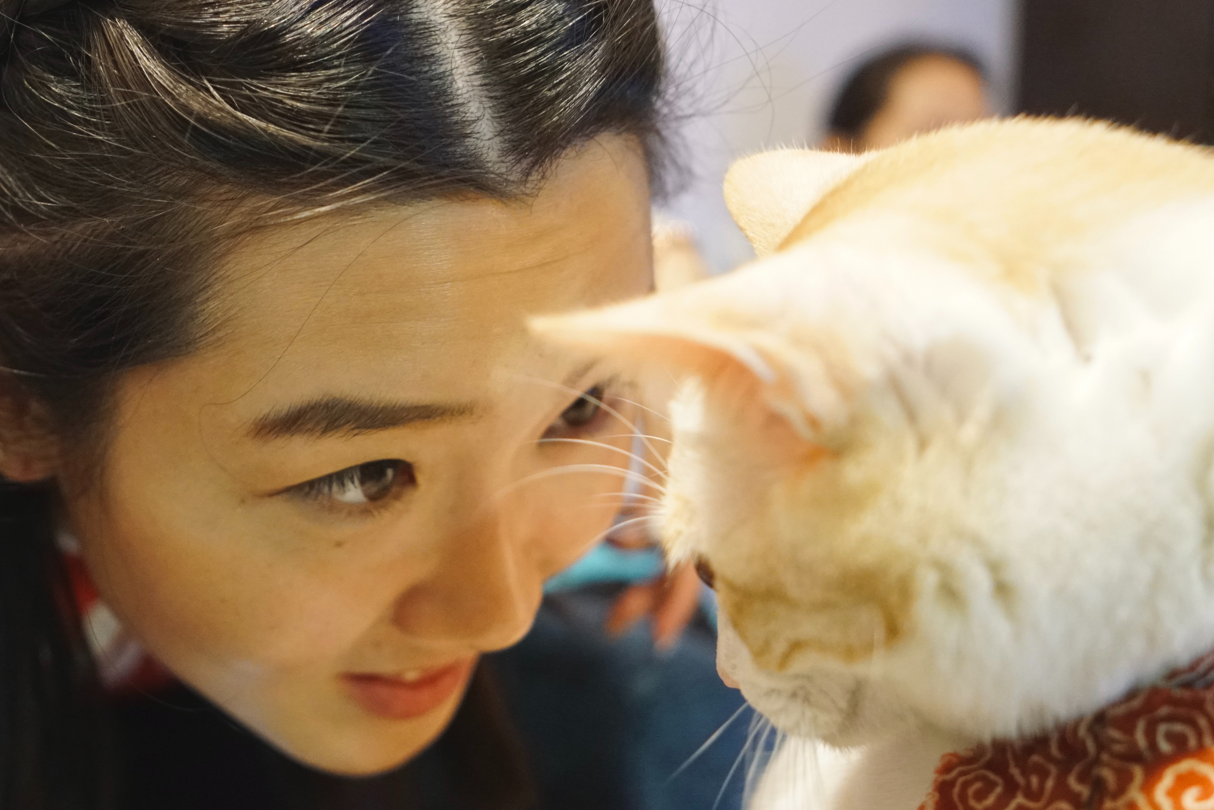 Lok Yan Zada Y profile picture