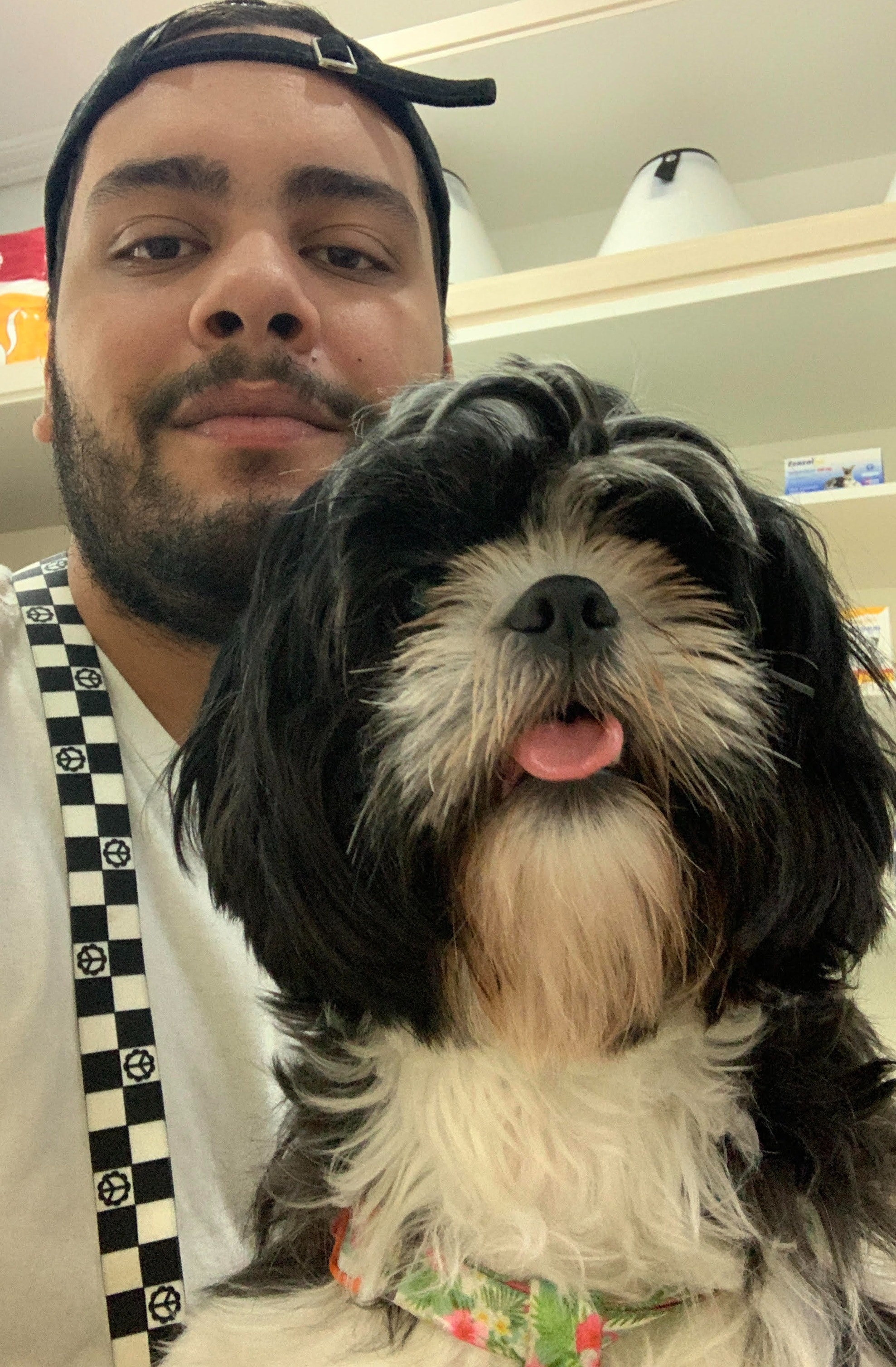 OTAVIO D profile picture